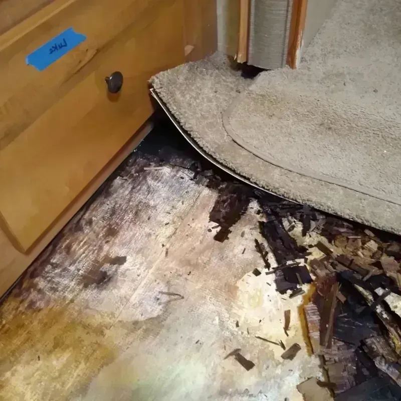 Best Wood Floor Water Damage Service in Pike County, AR